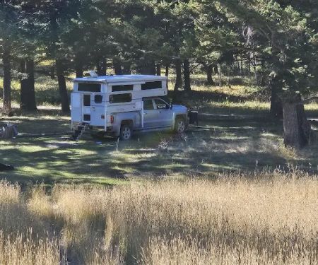 Timber Cr Dispersed Campground