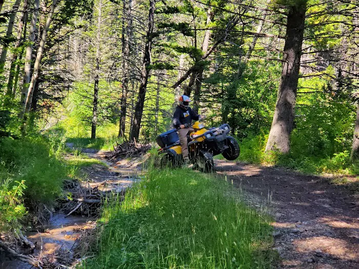 Timber Cr Dispersed Campground Picture 8
