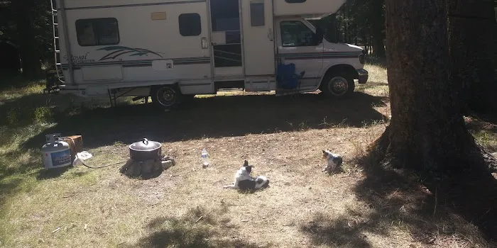 Timber Cr Dispersed Campground Picture 9