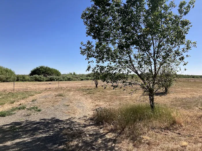 Riverwood Rec Site Picture 1