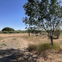Riverwood Rec Site ico