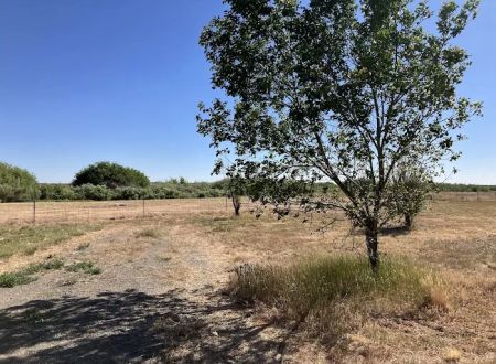 Riverwood Rec Site