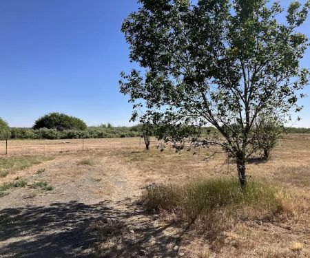 Riverwood Rec Site