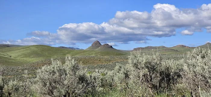 Succor Creek Campground Picture 2