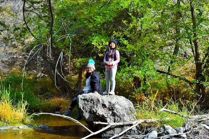 Succor Creek Campground Picture 5