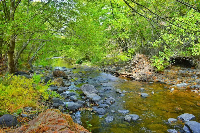 Succor Creek Campground Picture 6