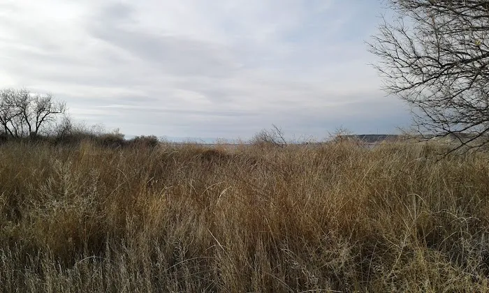 Cove Recreation Site Picture 8
