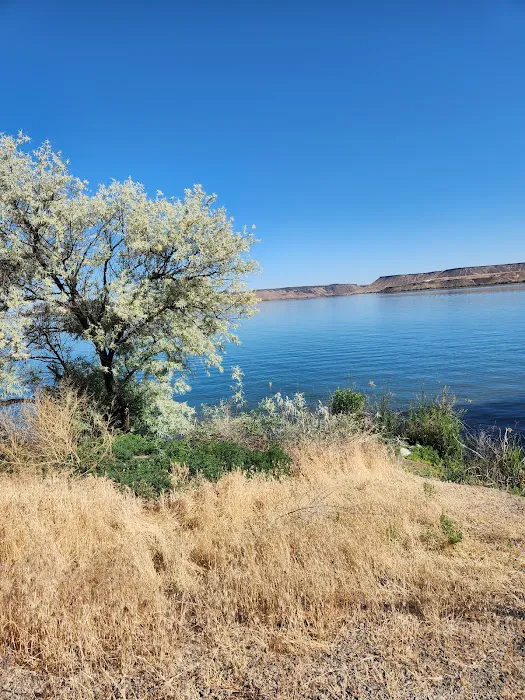 Cove Recreation Site Picture 4