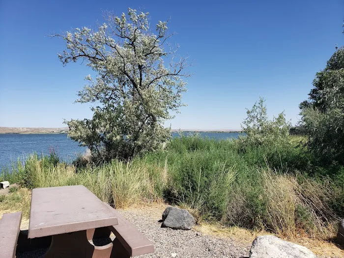 Cottonwood Campground Picture 8