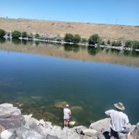 Scout Park ico