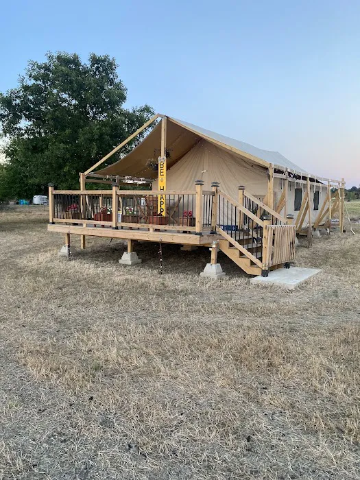 Glamp Like a Champ Picture 6
