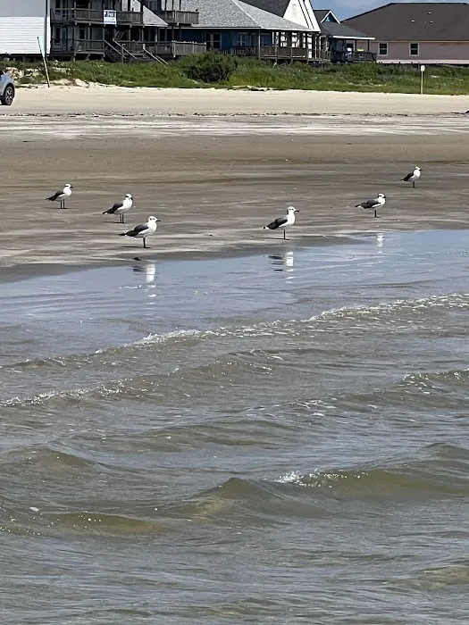 Surfside Picture 9