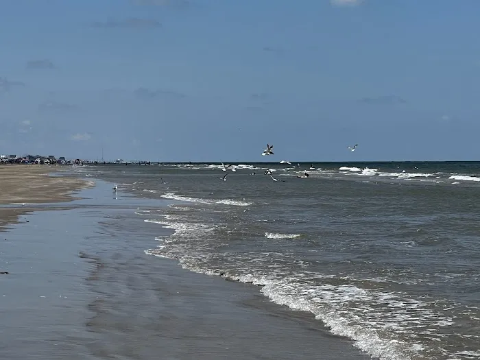 Surfside Picture 8