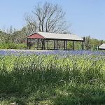 Bovay Scout Ranch - McNair Cub Scout Adventure Camp