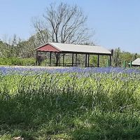 Bovay Scout Ranch - McNair Cub Scout Adventure Camp ico