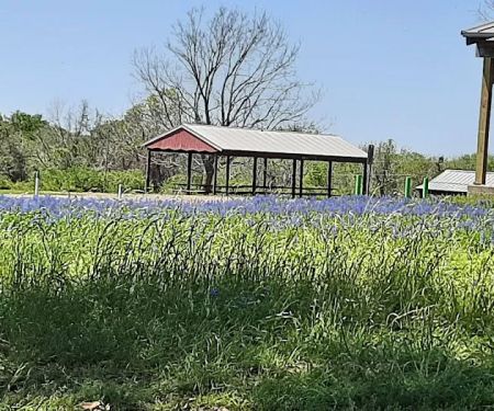 Bovay Scout Ranch - McNair Cub Scout Adventure Camp