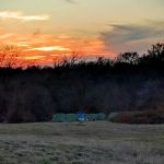 Tellepsen Scout Camp - BSA