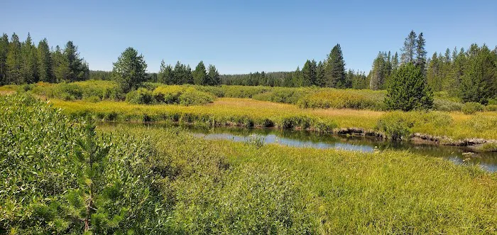 Lower Boundary Creek 9B1 Picture 4