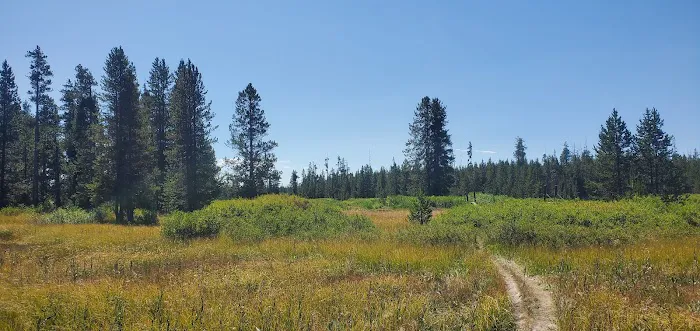 Lower Boundary Creek 9B1 Picture 6
