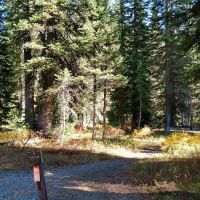 Upper Ford 9B8 ico