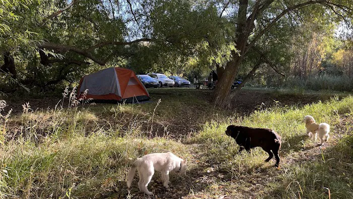 Eagle Park & Campground Picture 10