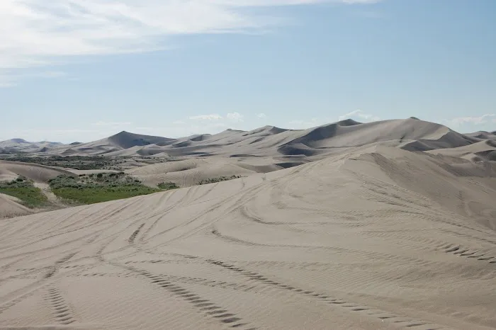 Chokecherry Campground St.anthony sand dunes Picture 3