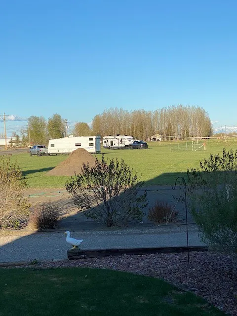 Chokecherry Campground St.anthony sand dunes Picture 8