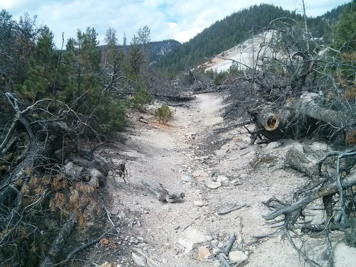 Old 7 Mile Hole Picture 3