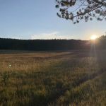 Wrangler Lake