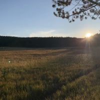 Wrangler Lake ico