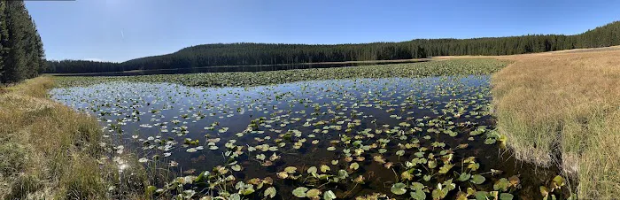 Wrangler Lake Picture 3