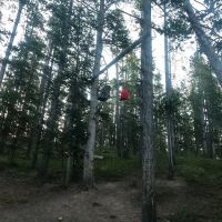 Moss Creek ico