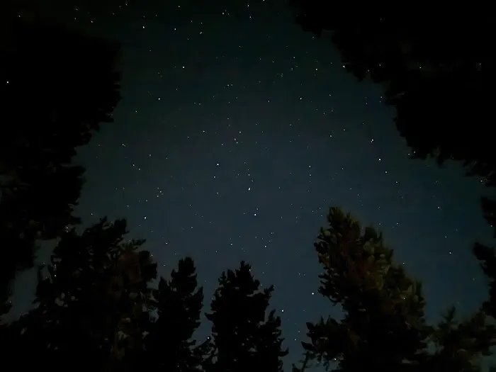 Grant Village Campground (D Loop) Picture 4