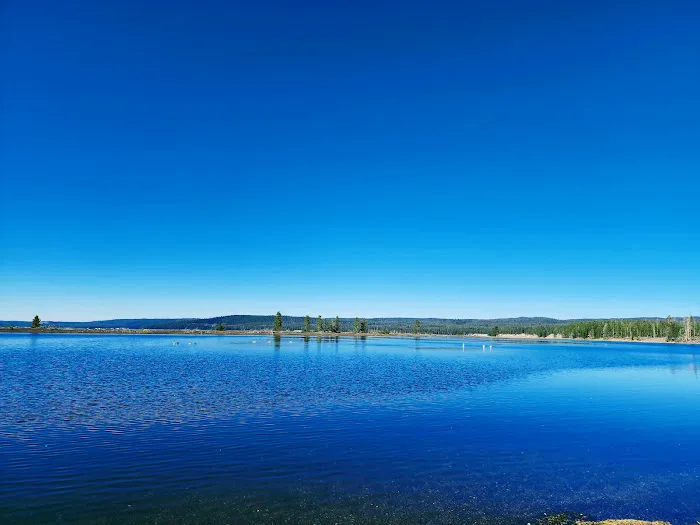 Grant Village Campground Picture 3