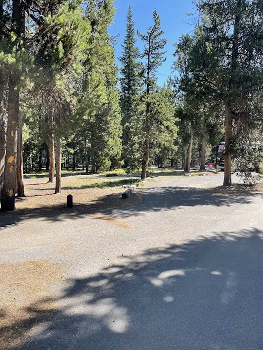 Grant Village Campground Picture 2