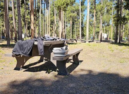 Grant Village Campground
