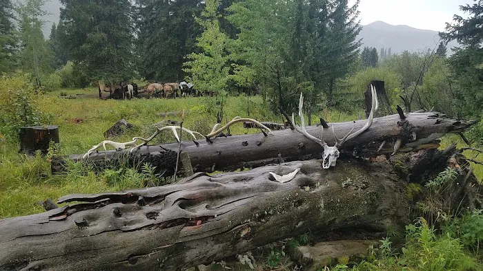 Upper Slough Creek 2S8 Picture 1