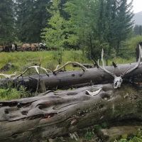 Upper Slough Creek 2S8 ico