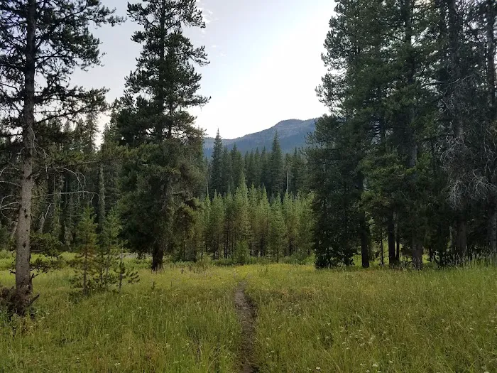 Pebble Creek 3P1 Picture 6