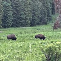 Pebble Creek Campground ico