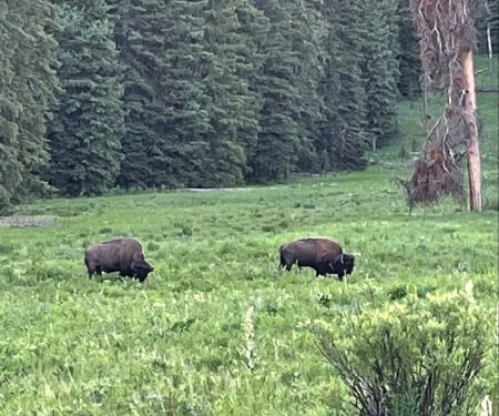 Pebble Creek Campground