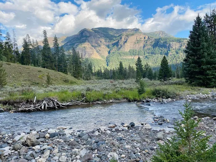 Pebble Creek Campground Picture 9