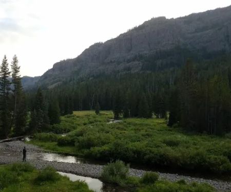 Bliss Pass Junction