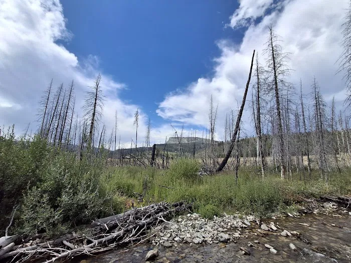 Shields River Campground Picture 4