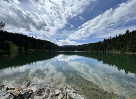 Forest Lake Camping Area