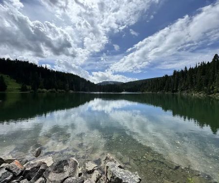 Forest Lake Camping Area