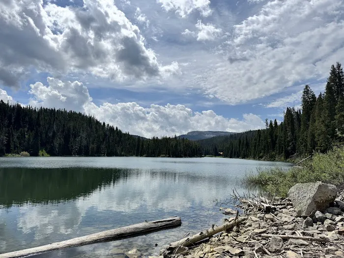 Forest Lake Camping Area Picture 2