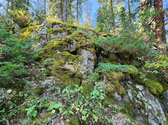Fox Creek Campground Picture 5