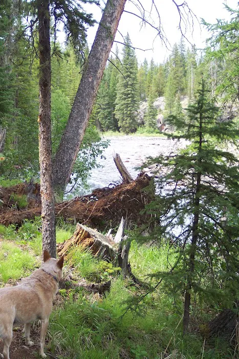Fox Creek Campground Picture 1