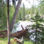 Fox Creek Campground